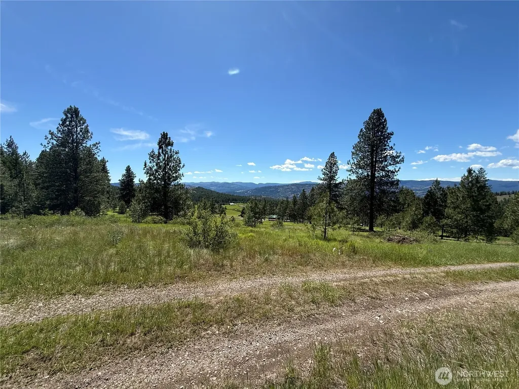5 Hidden Spring Ranch Road Republic WA 99166
