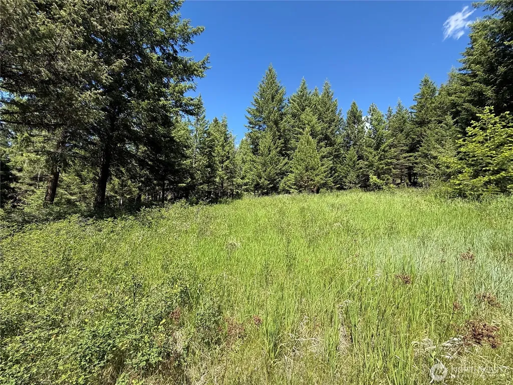 5 Hidden Spring Ranch Road Republic WA 99166