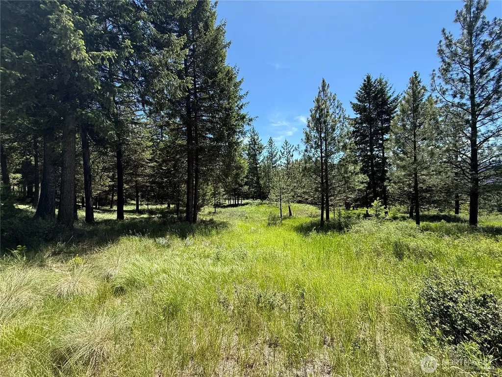 5 Hidden Spring Ranch Road Republic WA 99166
