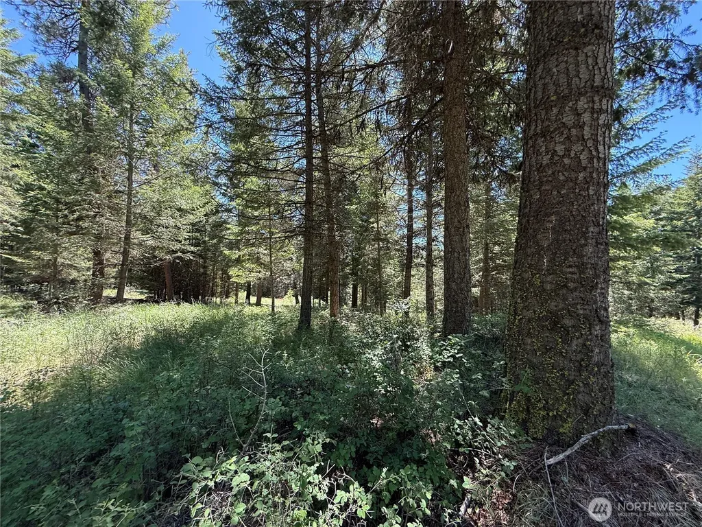 5 Hidden Spring Ranch Road Republic WA 99166