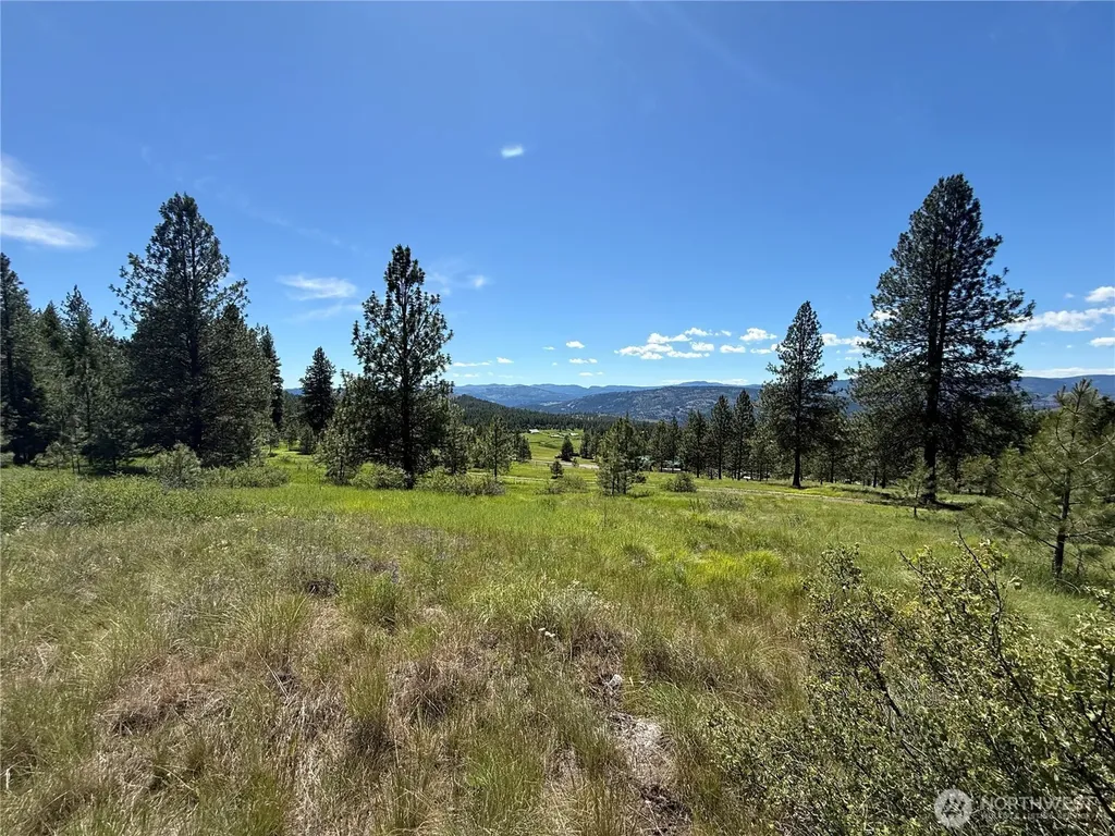 5 Hidden Spring Ranch Road Republic WA 99166