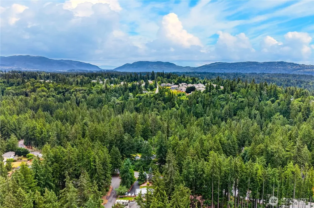 21313 NE 10th Place Sammamish WA 98074