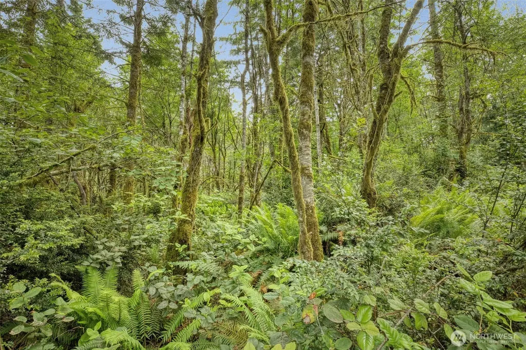 4748 SW Hunter Road Port Orchard WA 98367