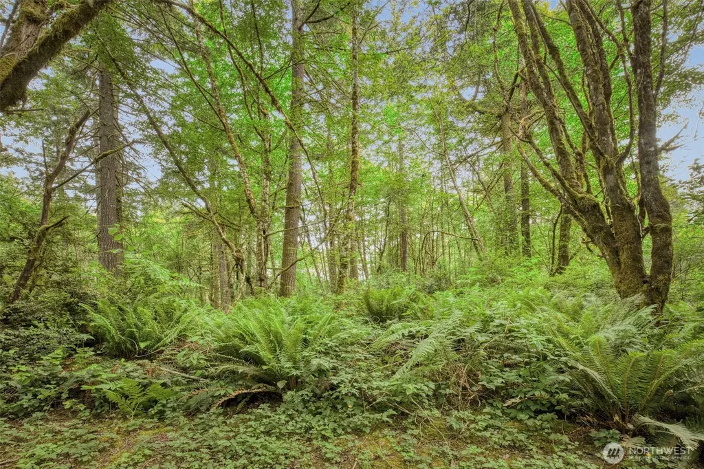 4748 SW Hunter Road Port Orchard WA 98367