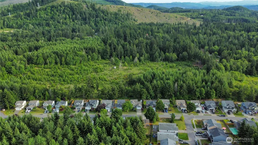 19712 207th Street Ct E Orting WA 98360