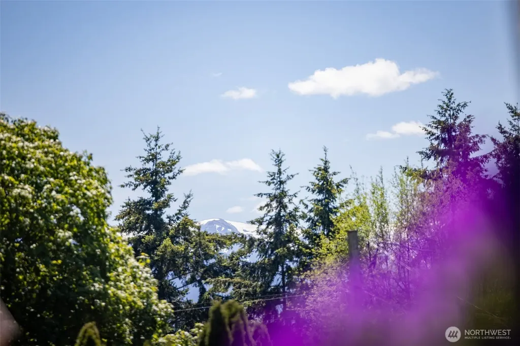 282 Cedar Park Drive Port Angeles WA 98362
