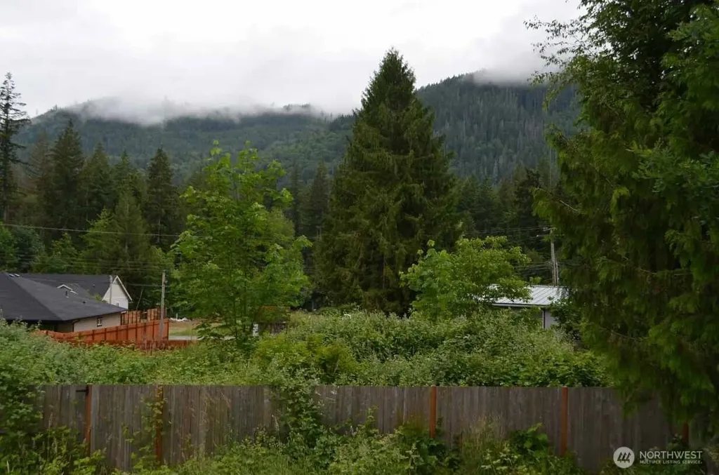 7955 Apache Drive Maple Falls WA 98266