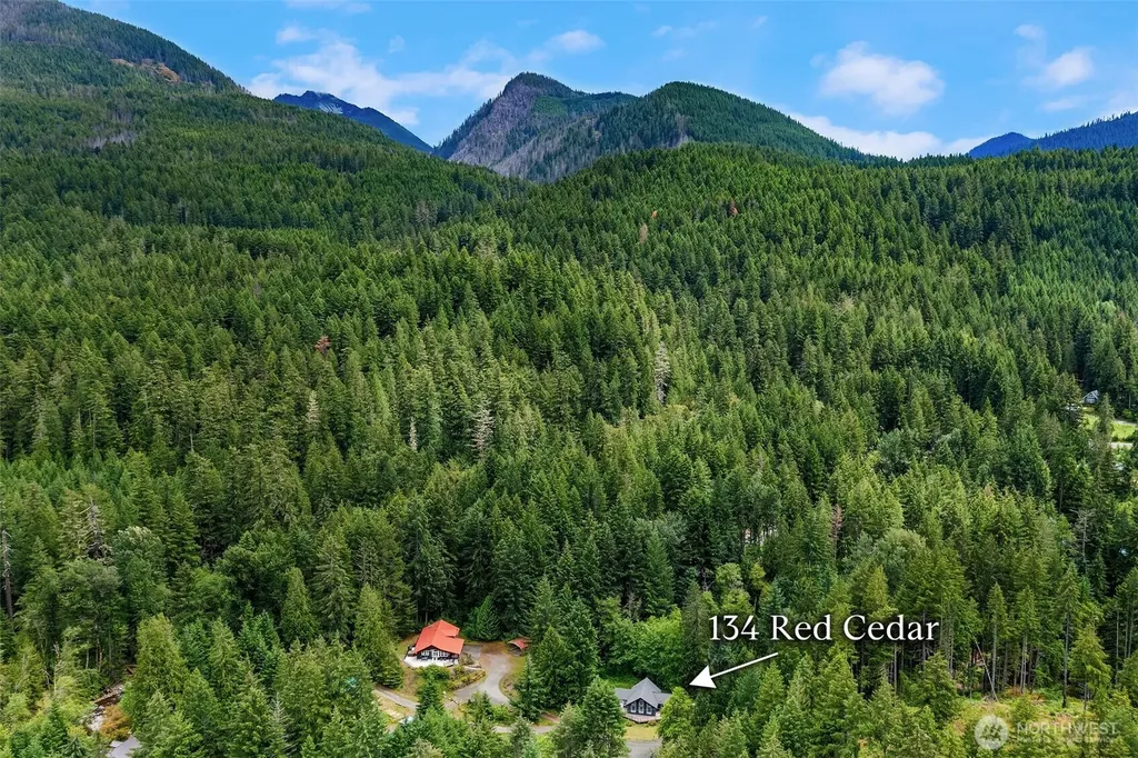 134 Red Cedar Lane Packwood WA 98361