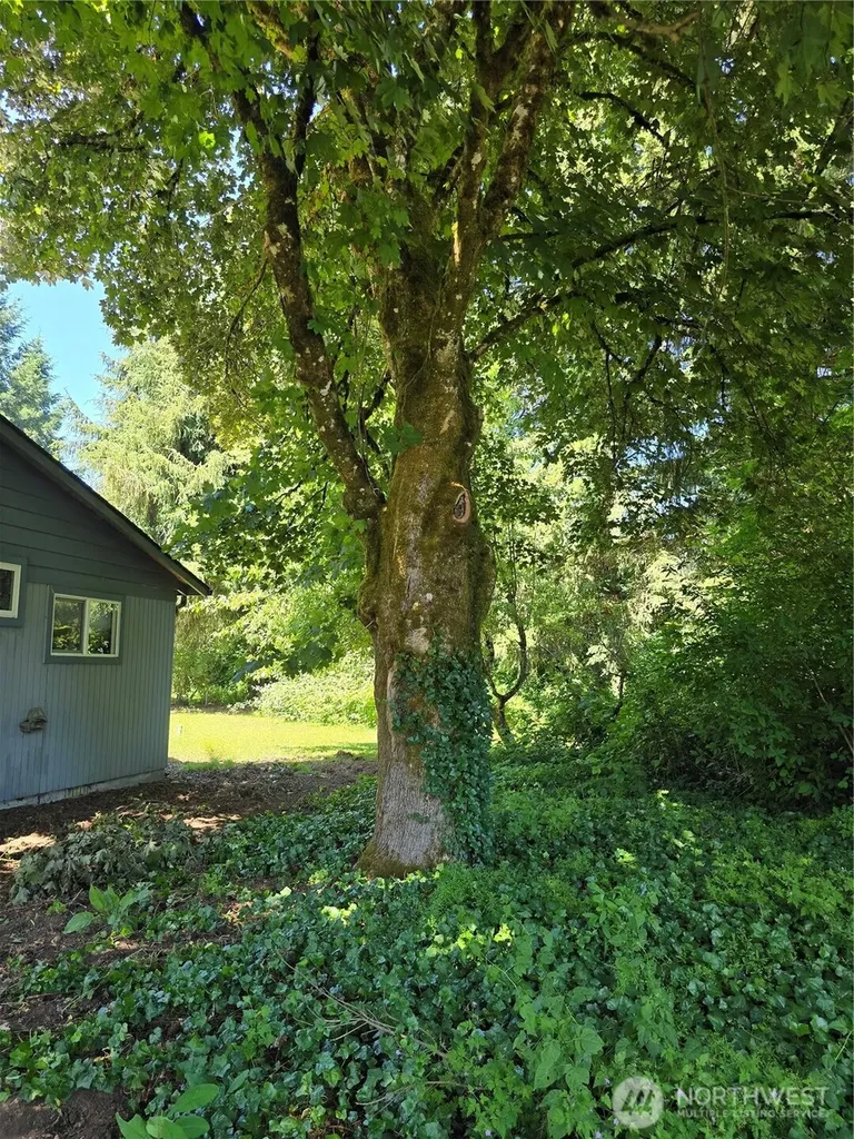 8823 Old Highway 99 SE Tumwater WA 98501