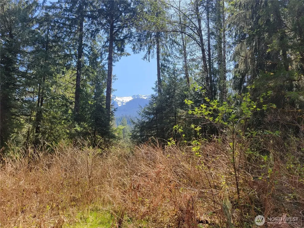0 Mtn Loop Highway Granite Falls WA 98252