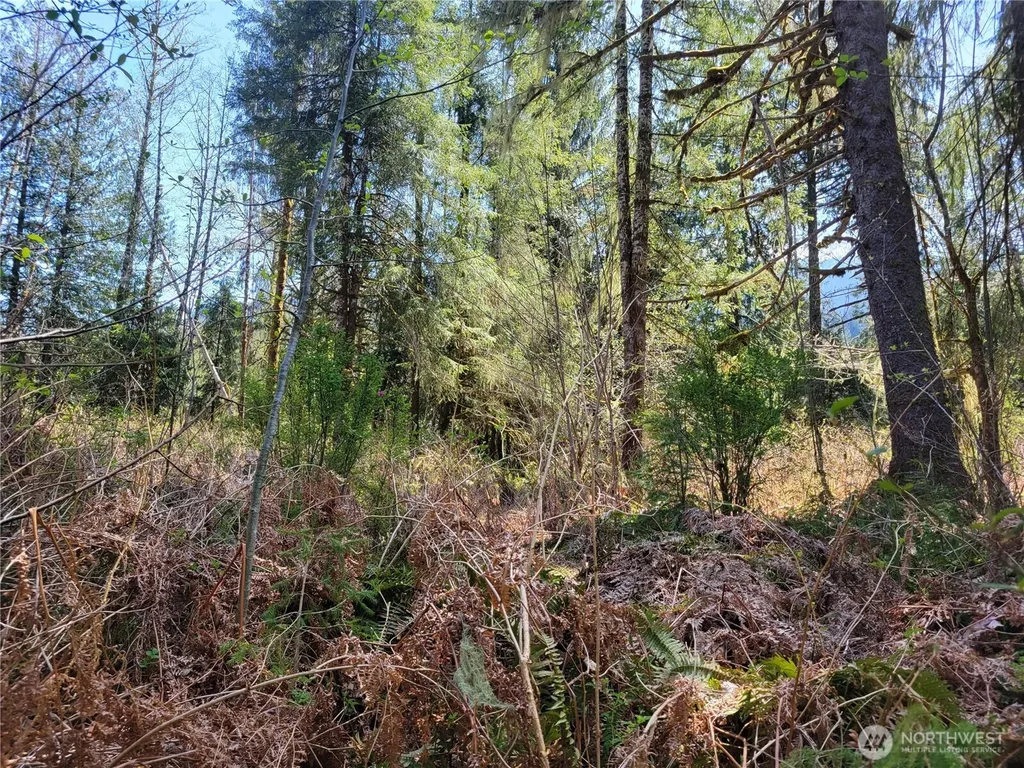 0 Mtn Loop Highway Granite Falls WA 98252