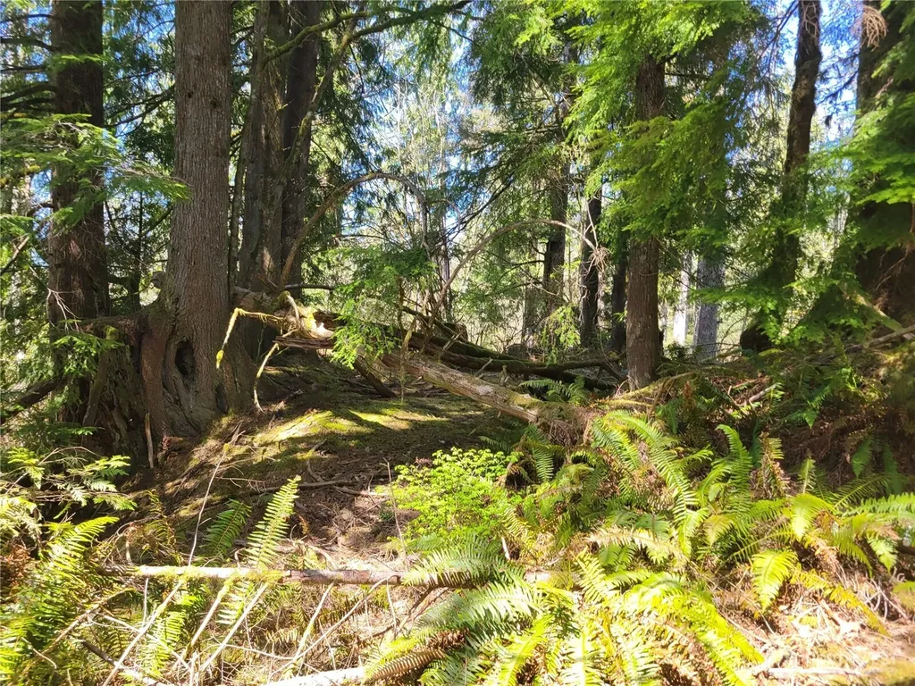 0 Mtn Loop Highway Granite Falls WA 98252