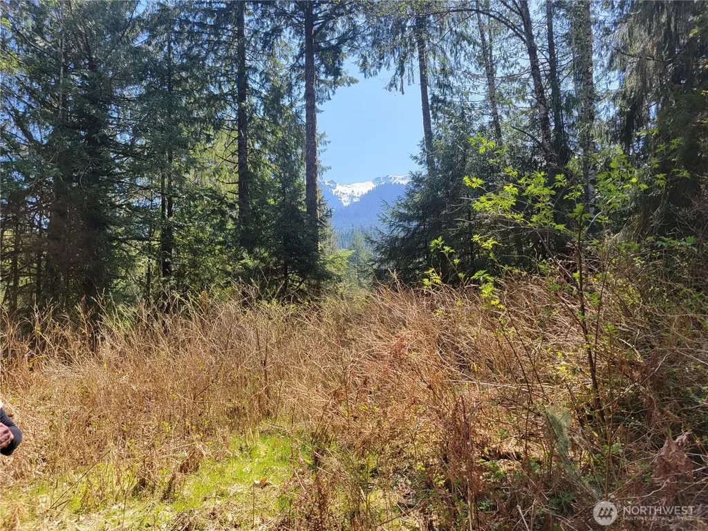 0 Mtn Loop Highway Granite Falls WA 98252