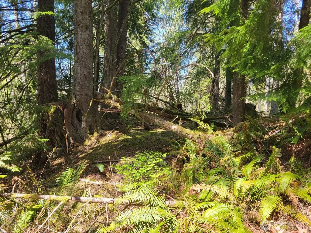 0 Mtn Loop Highway Granite Falls WA 98252