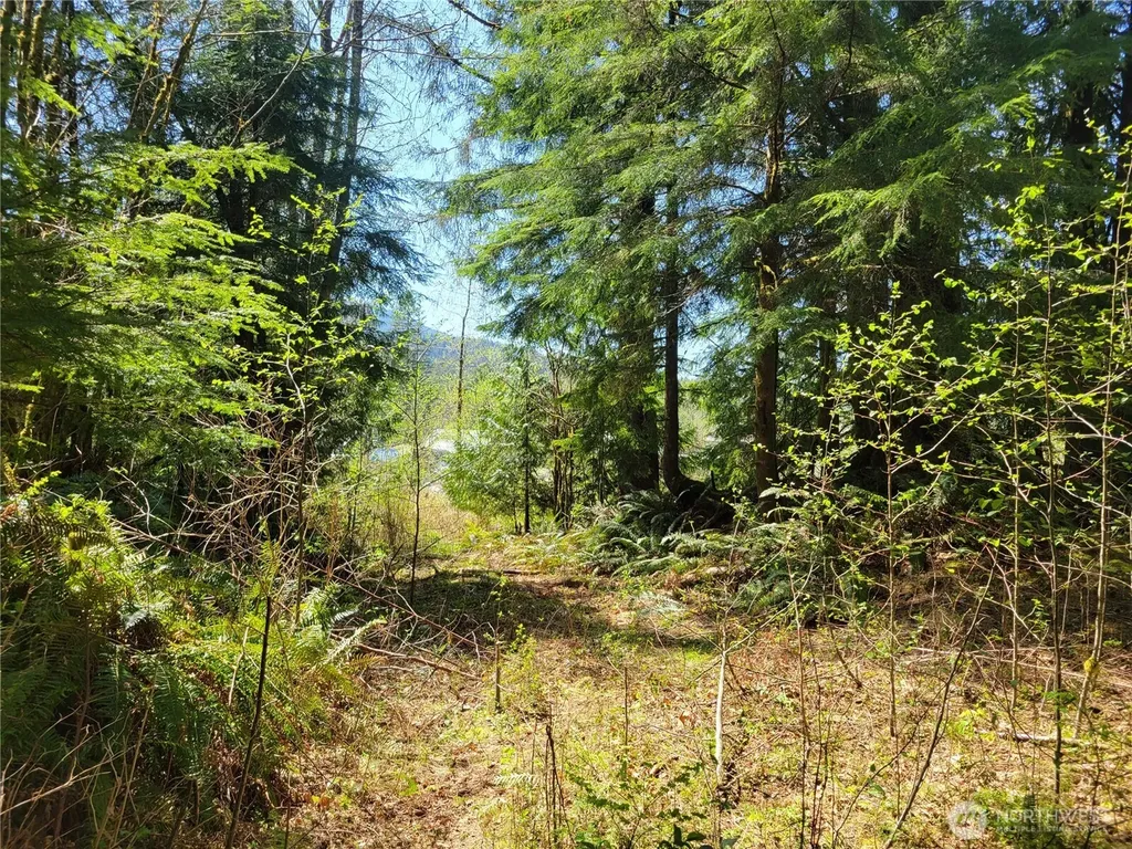 0 Mtn Loop Highway Granite Falls WA 98252