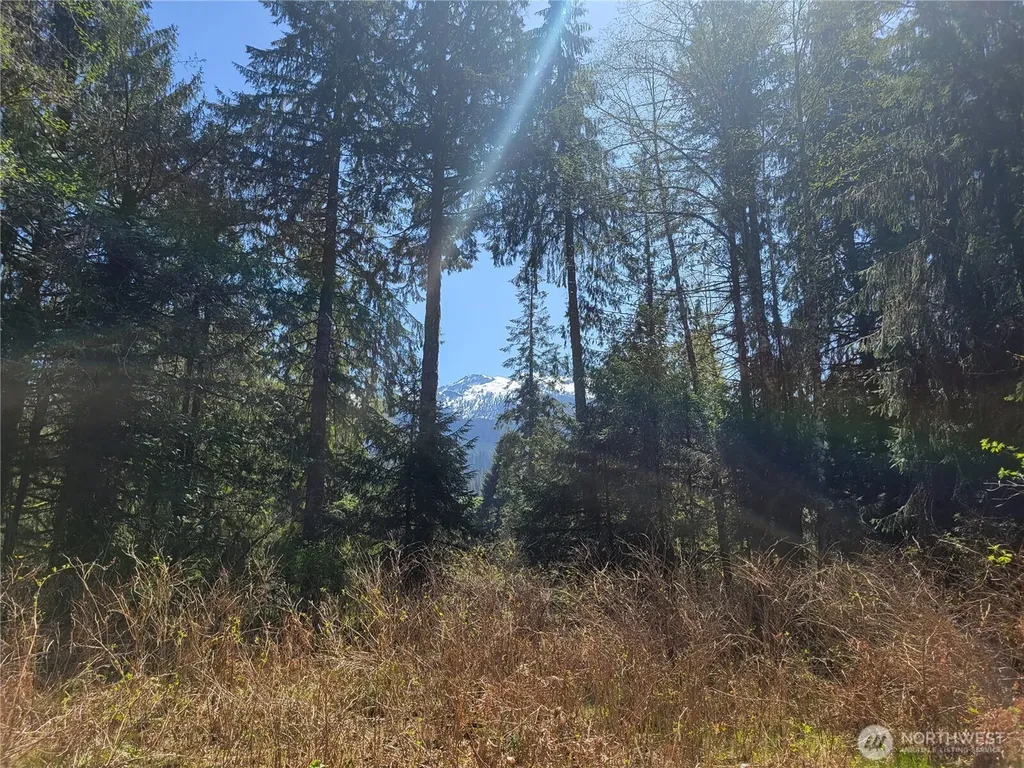 0 Mtn Loop Highway Granite Falls WA 98252