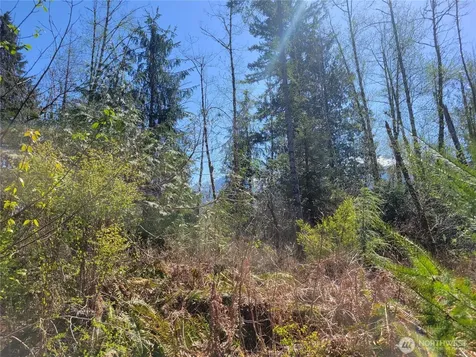 0 Mtn Loop Highway Granite Falls WA 98252