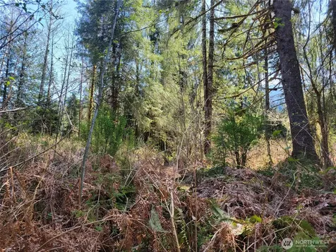 0 Mtn Loop Highway Granite Falls WA 98252