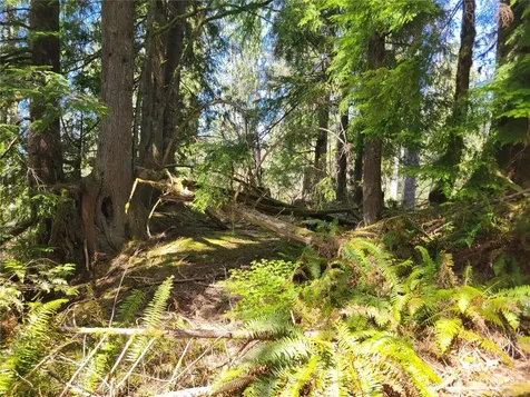 0 Mtn Loop Highway Granite Falls WA 98252