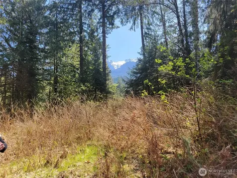 0 Mtn Loop Highway Granite Falls WA 98252