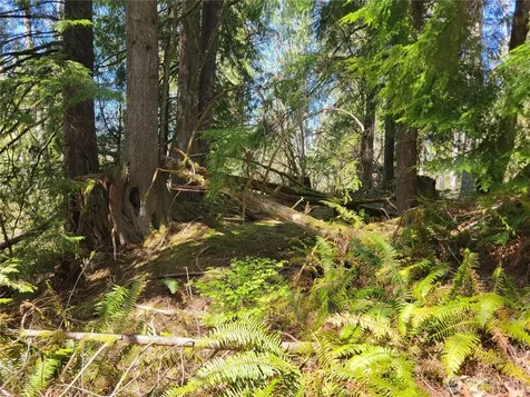 0 Mtn Loop Highway Granite Falls WA 98252