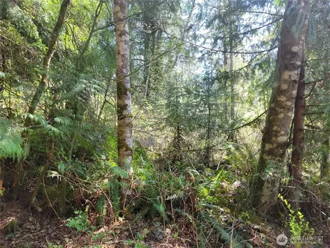 0 Mtn Loop Highway Granite Falls WA 98252