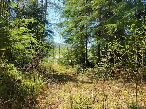 0 Mtn Loop Highway Granite Falls WA 98252