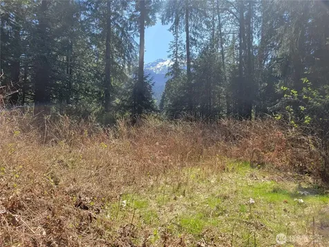 0 Mtn Loop Highway Granite Falls WA 98252