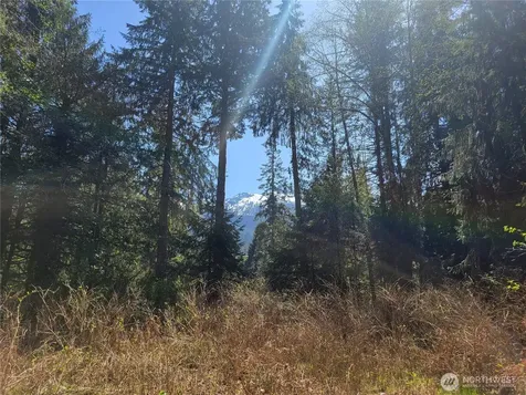 0 Mtn Loop Highway Granite Falls WA 98252