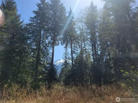 0 Mtn Loop Highway Granite Falls WA 98252