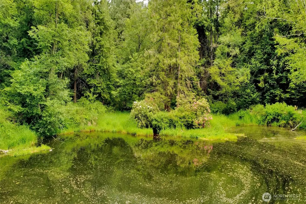 7989 Andreason Place Custer WA 98240