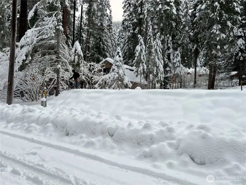 3031 Memory Lane Leavenworth WA 98826