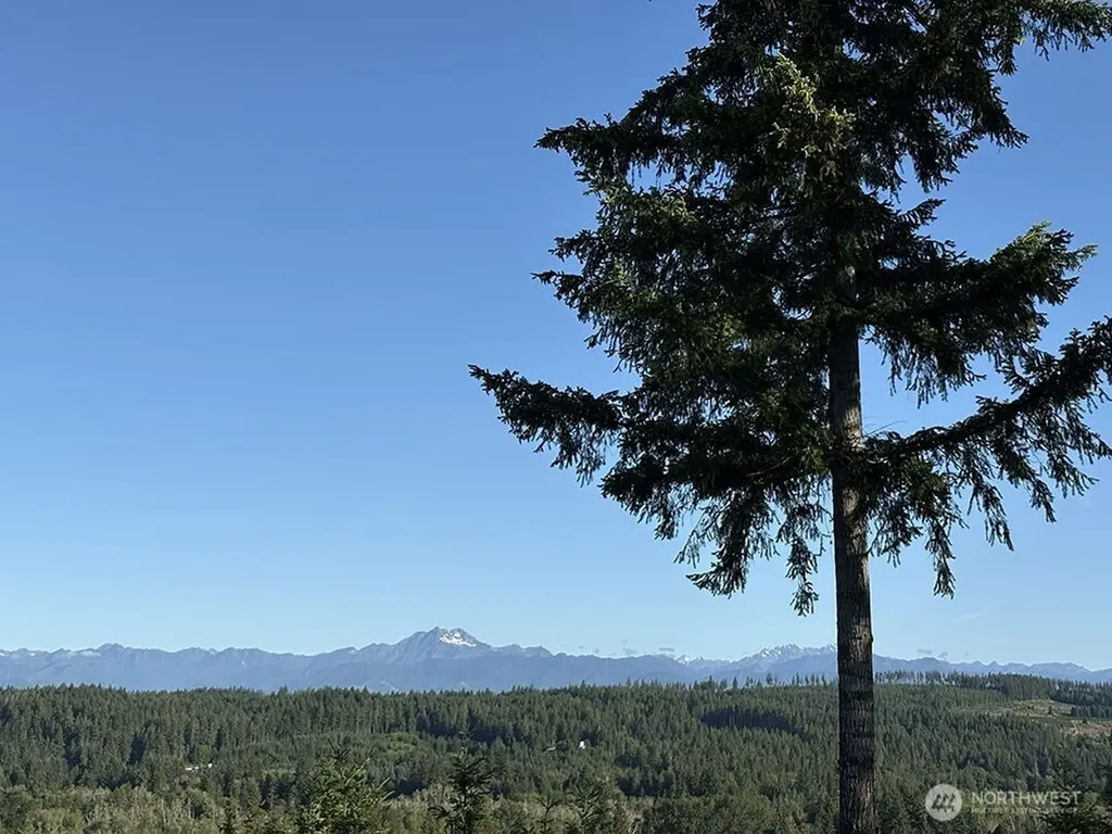 383 Romance Hill Road Belfair WA 98528