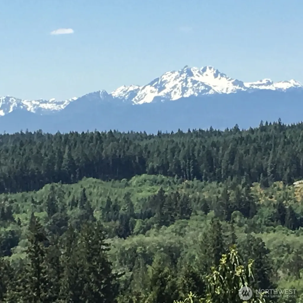 383 Romance Hill Road Belfair WA 98528