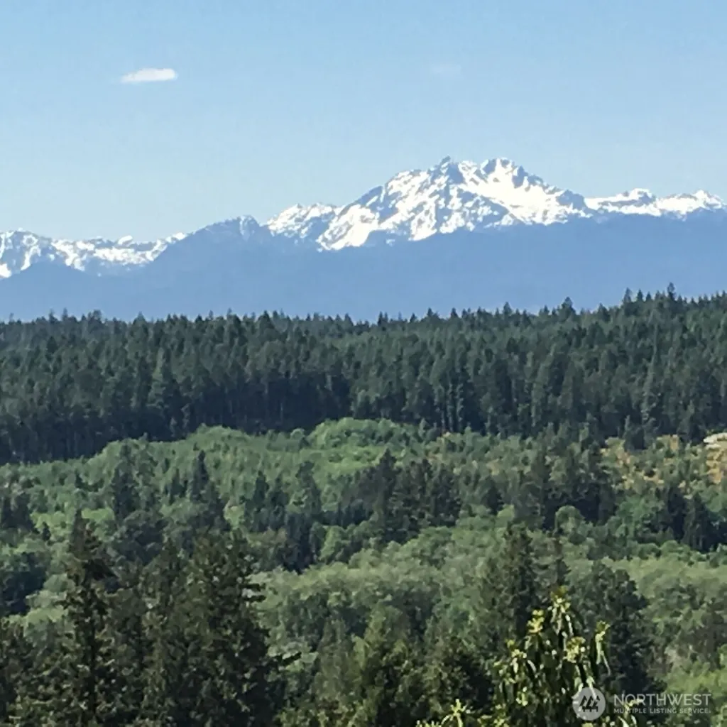 383 Romance Hill Road Belfair WA 98528
