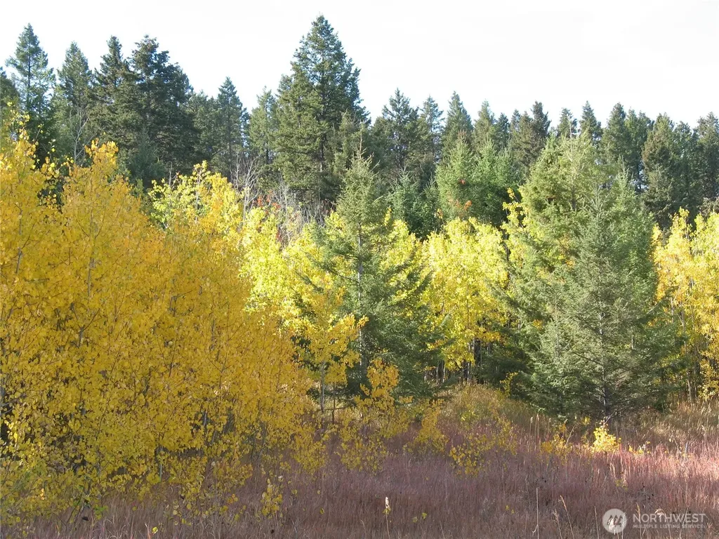 40 Turner Homestead Road Oroville WA 98844