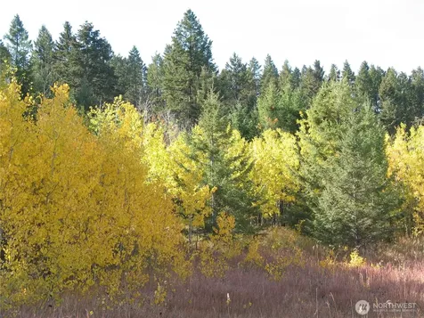 40 Turner Homestead Road Oroville WA 98844