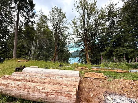 1910 W Cushman Ridge Drive Hoodsport WA 98548