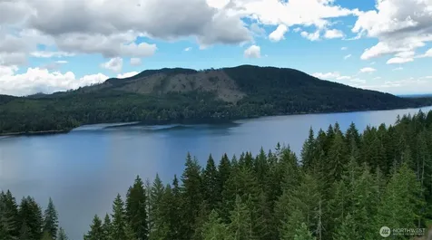 1910 W Cushman Ridge Drive Hoodsport WA 98548