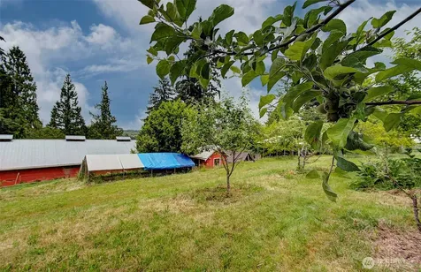 19432 NE Mattson Road Brush Prairie WA 98606