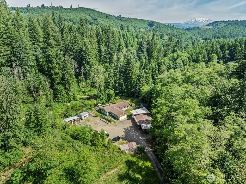 136 Longhorn Road Amboy WA 98601