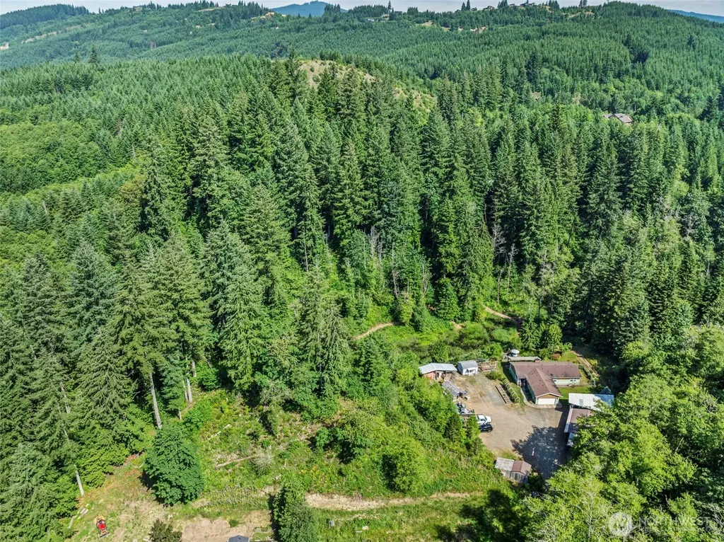 136 Longhorn Road Amboy WA 98601