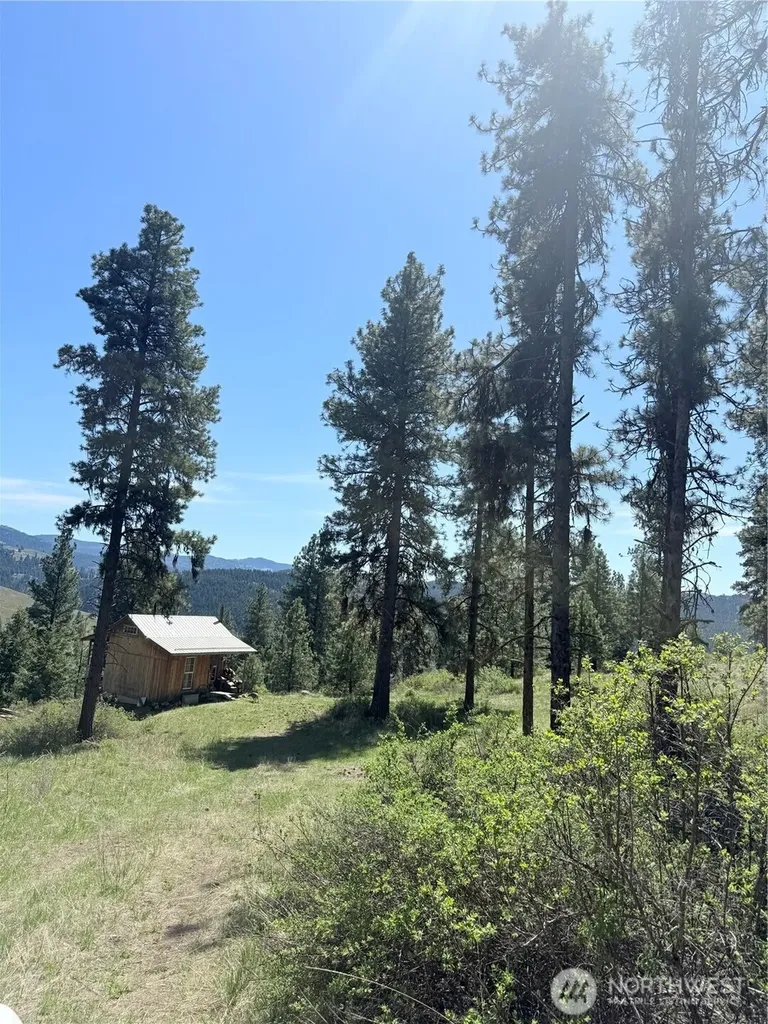 36 Sqove Road Wauconda WA 98859