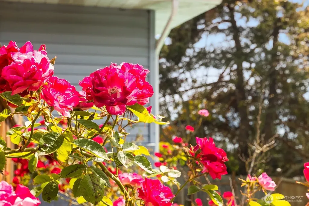 8132 208th Place SW Edmonds WA 98026