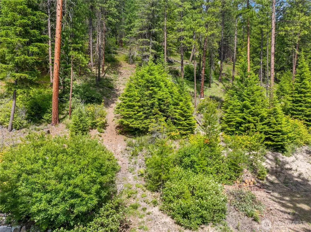 21005 Lower Chiwawa River Road Leavenworth WA 98826