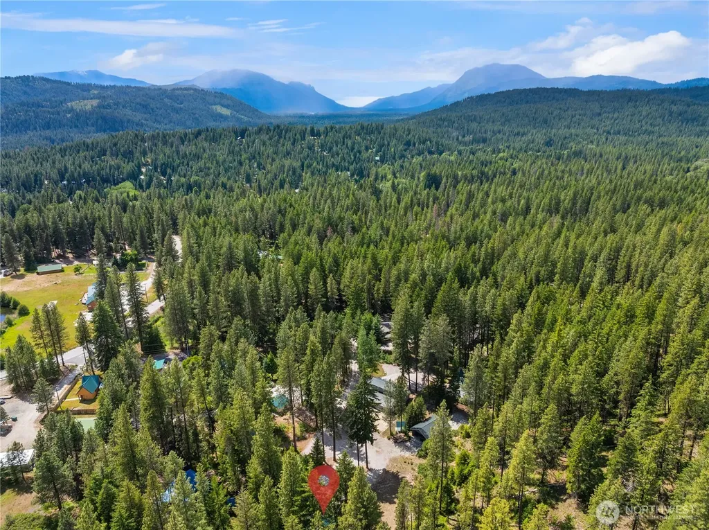 21005 Lower Chiwawa River Road Leavenworth WA 98826