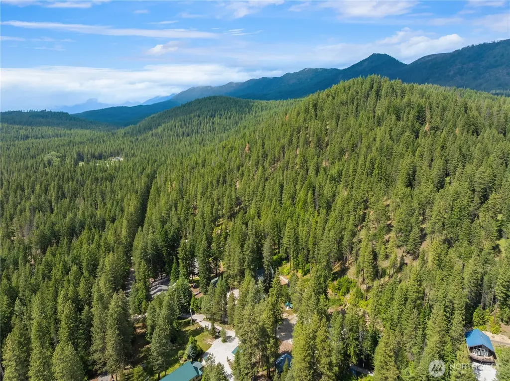 21005 Lower Chiwawa River Road Leavenworth WA 98826