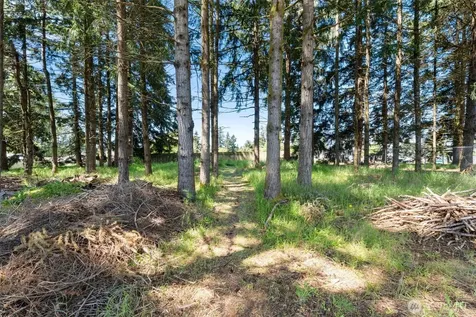 5146 180th Trail SW Rochester WA 98579