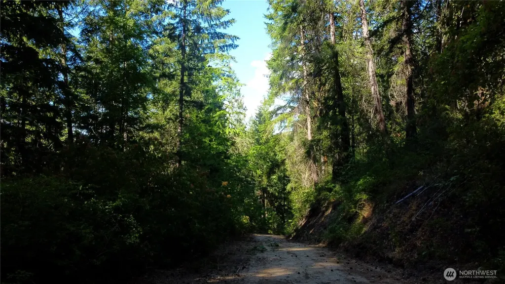 0 Brisky Canyon Cashmere WA 98858