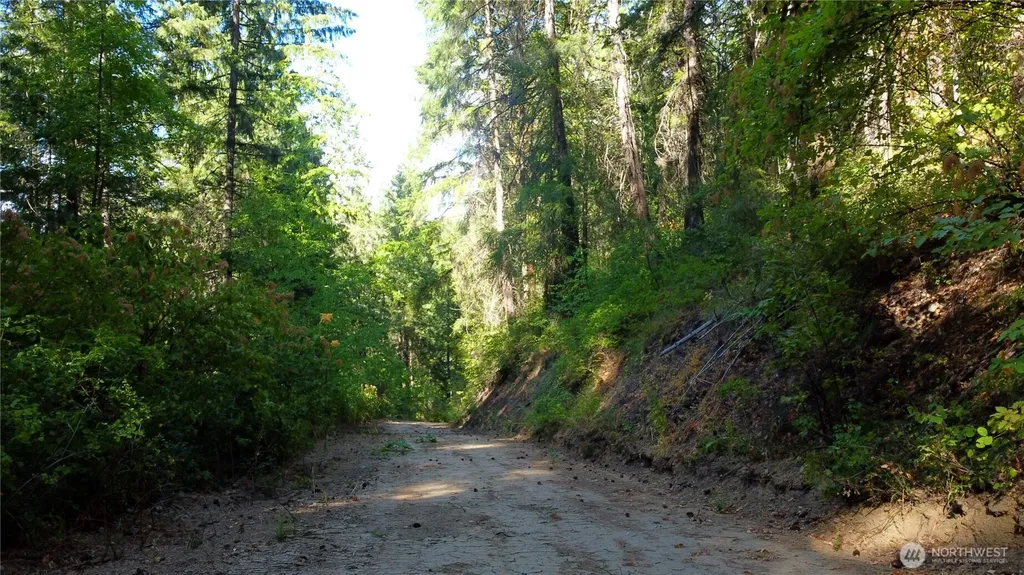 0 Brisky Canyon Cashmere WA 98858
